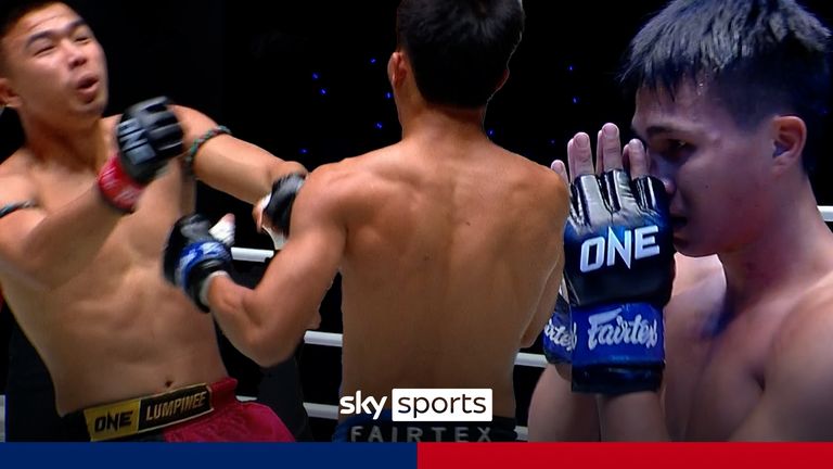 ONE CHAMPIONSHIP PETISWET KO